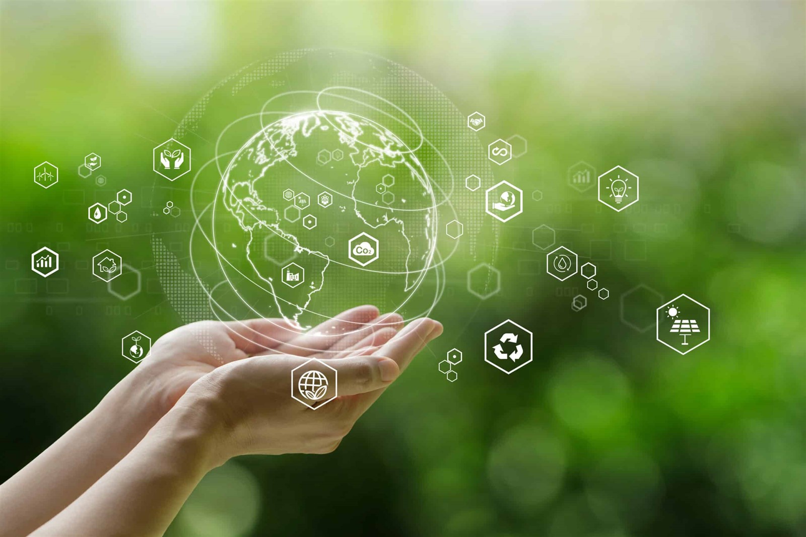 Vacuum Packaging: The Core Industry Technology Beyond Freshness Preservation Vacuum Packaging: The Core Industry Technology Beyond Freshness Preservation